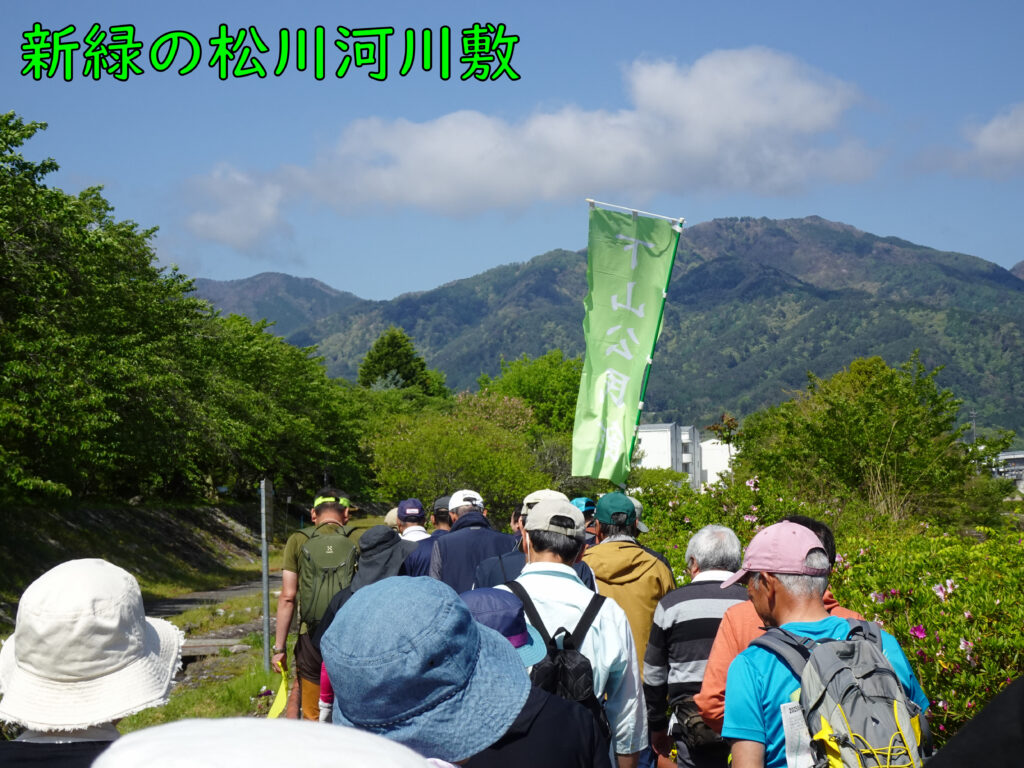 新緑の松川河川敷