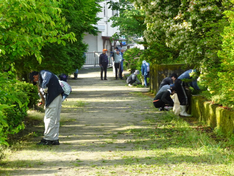 矢高中央公園清掃活動